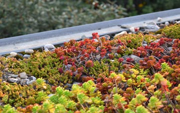 the cost of Leighton Bromswold green roof installation