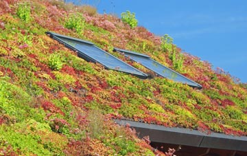 Leighton Bromswold living roof systems