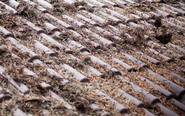 Leighton Bromswold roof cleaning companies